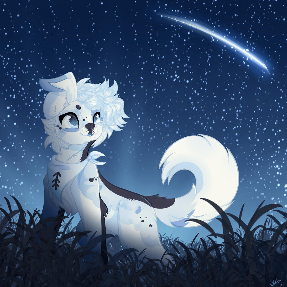 Shooting Star